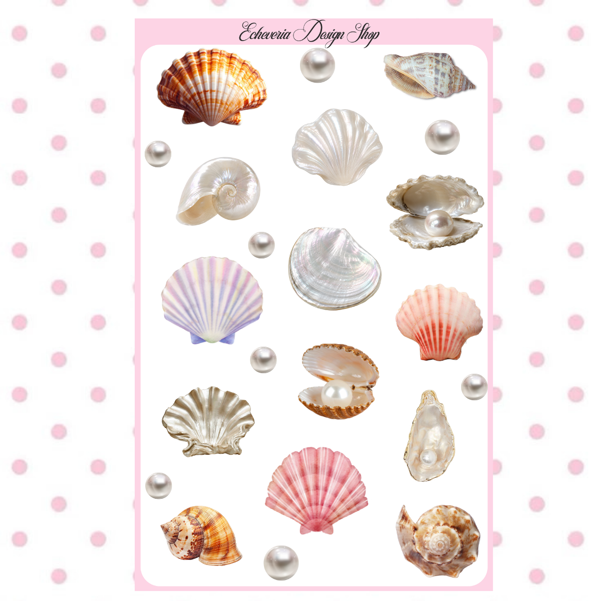 Sea Shells Sticker Sheet